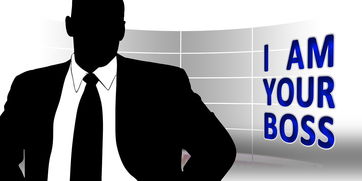 开云体育官网app-主教练更替后球队传控风格是否立刻改变,球队主教练的职责 第1张