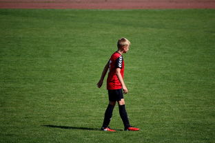 kaiyun网址-国际排联调整赛制 新赛季竞争更激烈,国际排联最新排名 第2张